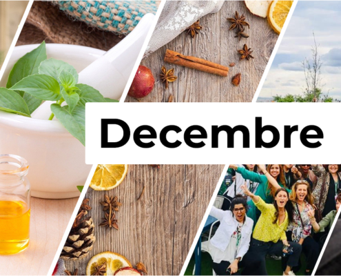 Evenement décembre Bureaux & Co Montpellier