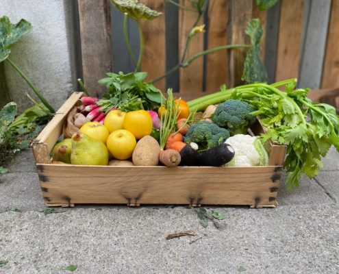 Photo-panier-légumes